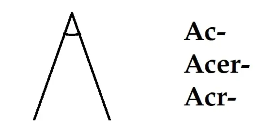 词根ac及其相关词根(width=200)