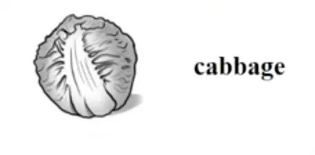 cabbage(width=200)